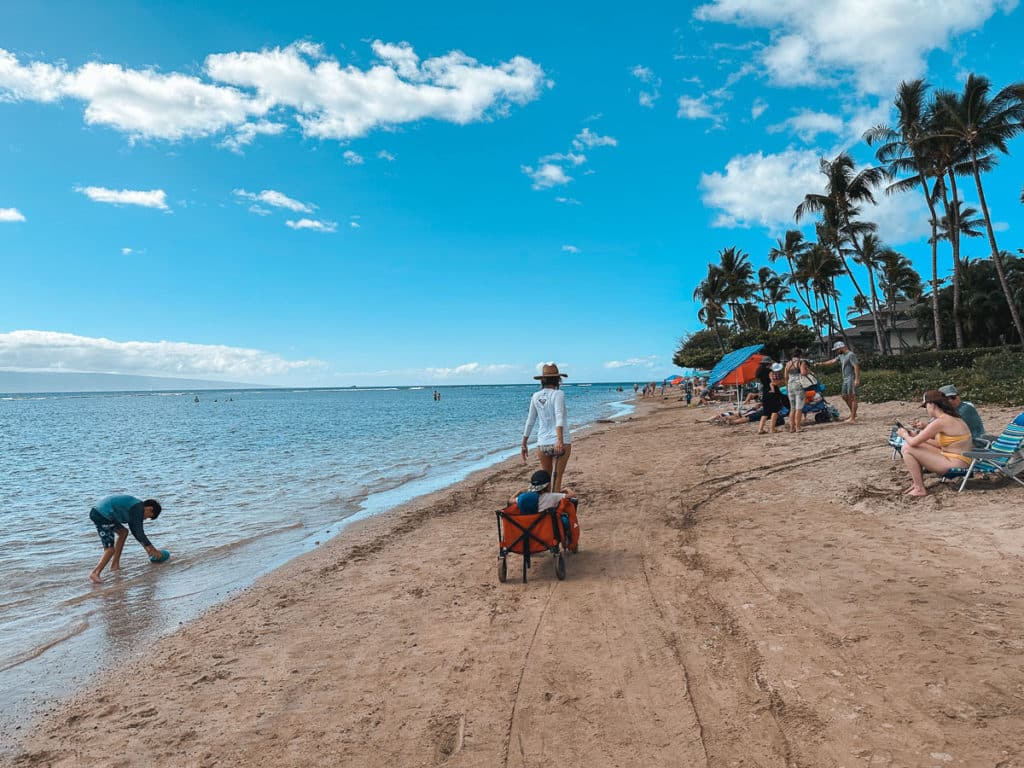 Mom pulling a wagon at Baby Beach Lahaina, Maui.