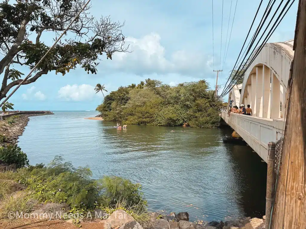 Teenagers sitting on Haleiwa Town bridge with a dog on a paddle board in the water in Oahu, Hawaii.