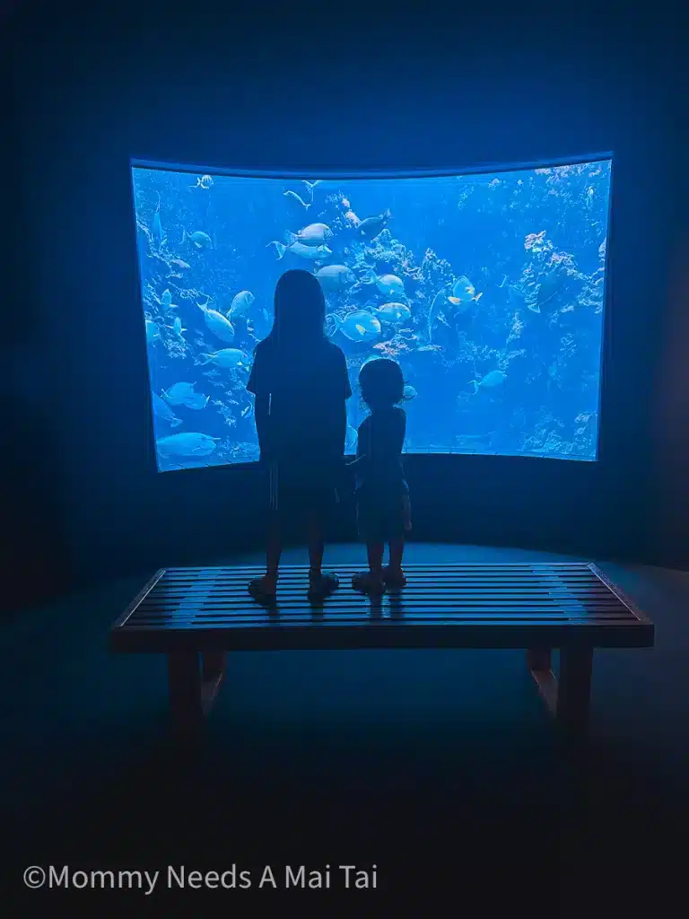 Two kids holding hands in front of large fish tank at the Maui Ocean Center on Maui.