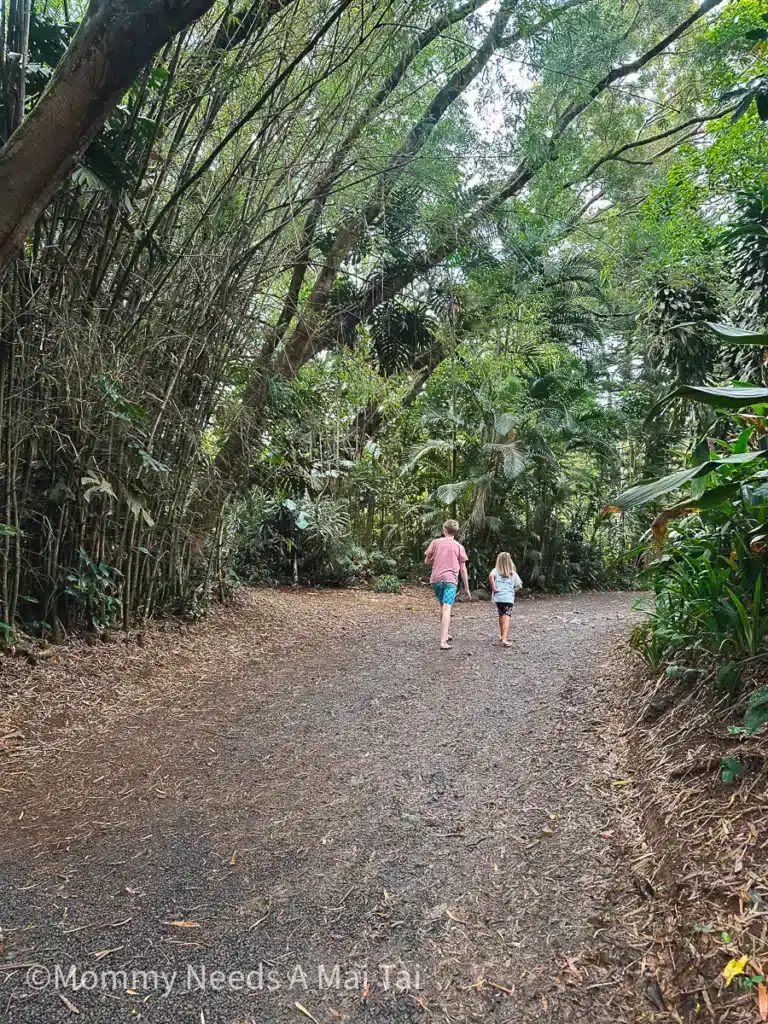 Two kids running barefoot on a trail in the Hawaii jungle.