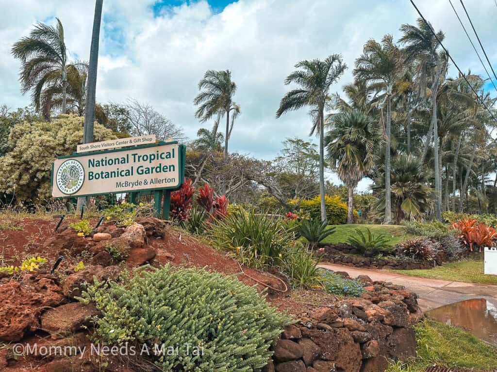 A lush view of the entrance to Allerton Bontanical Gardens on Kauai.