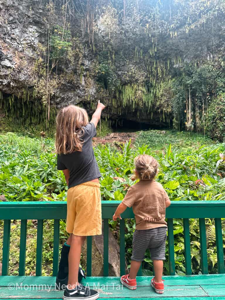 Two young kids pointing and looking up at the lush Fern Gratto on Kauai.