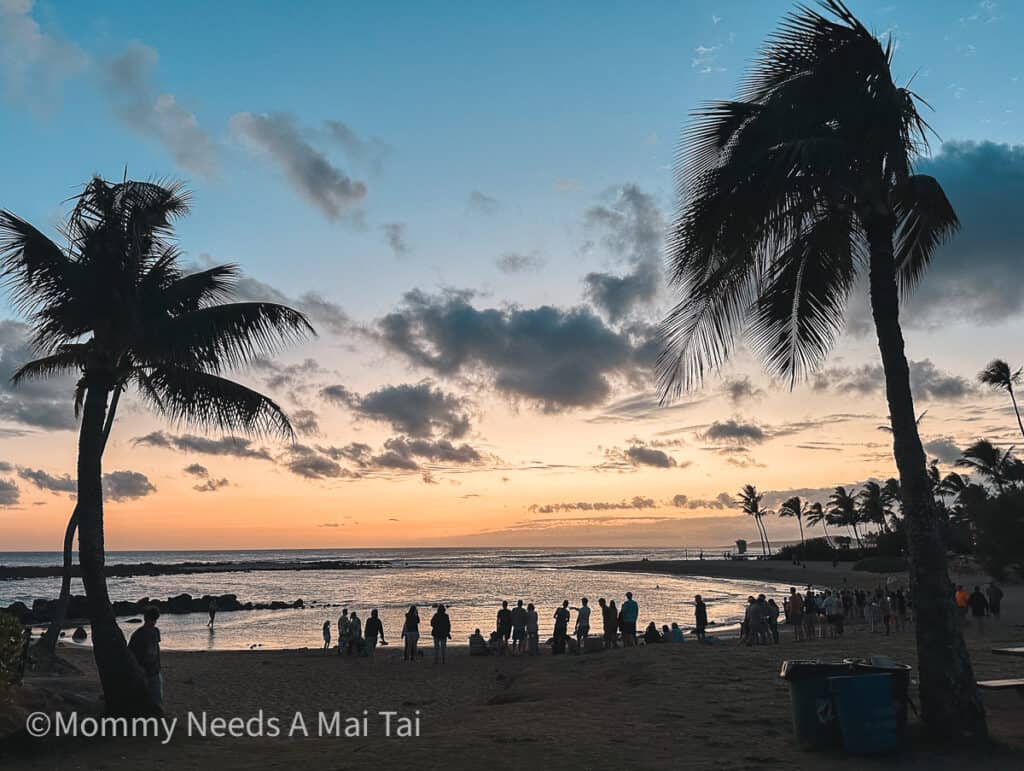 An orange, blue, and purple Poipu Beach Park Sunset with people standing around watching and palm trees blowing in the wind. 